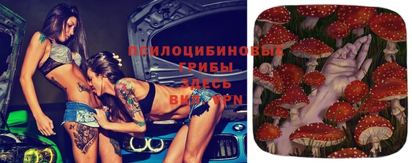 прущие крисы Балахна