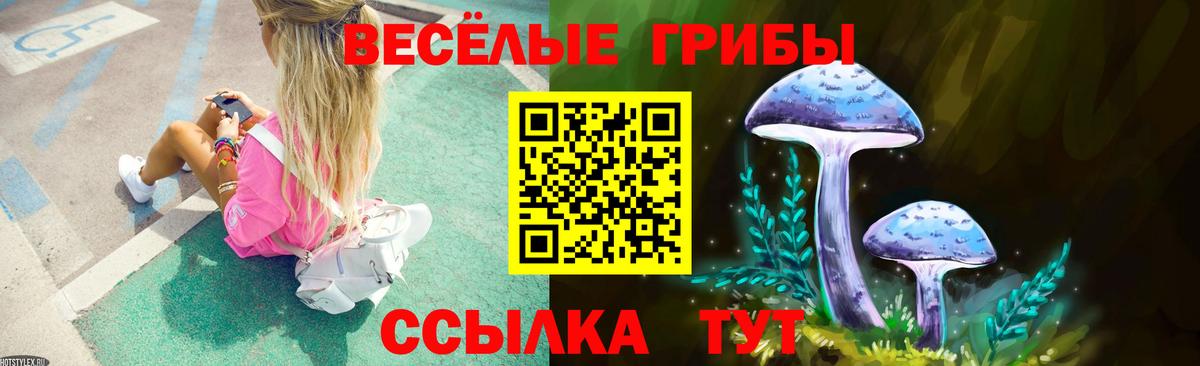 Белогорск  Галлюциногенные грибы Cubensis  Вход с VPN 